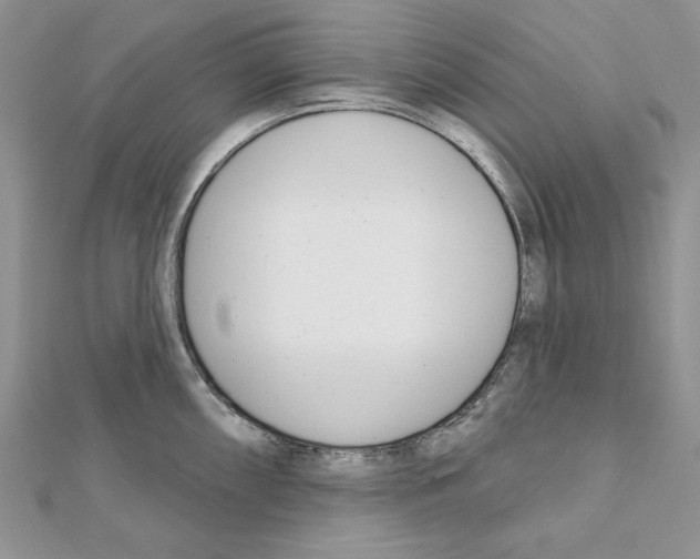 X0000111611098200908281045