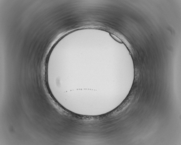 X0000111611099200908281045