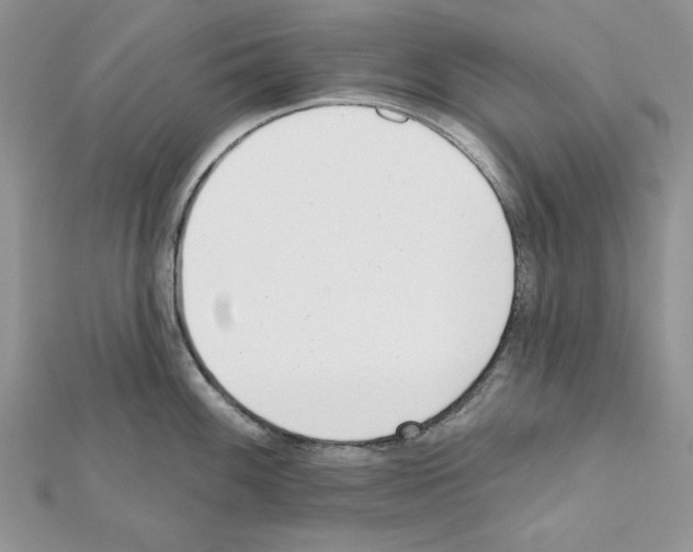 X0000111611100200908281045