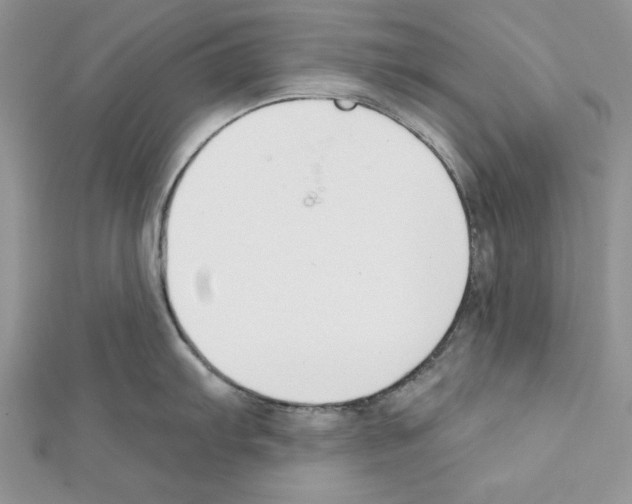 X0000111611103200908281045