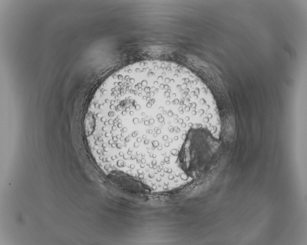 X0000111611105200908281044