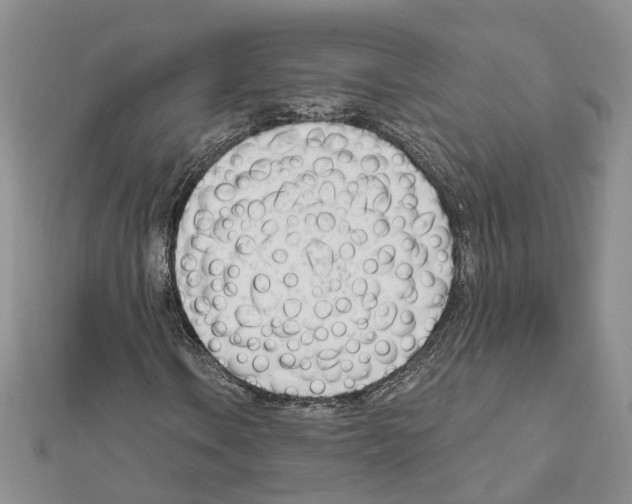 X0000111611106200908281044