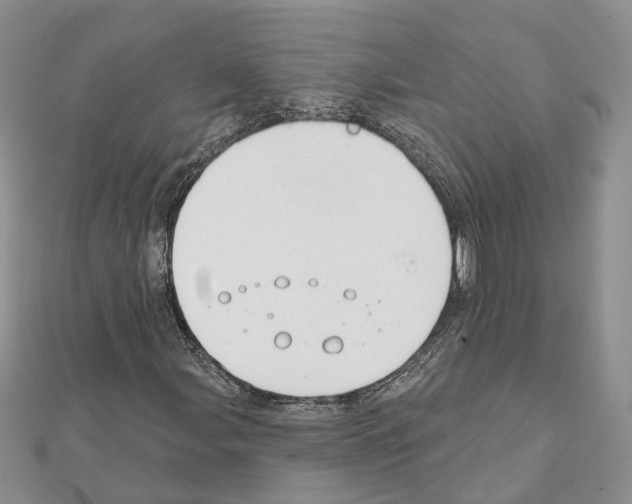 X0000111611107200908281044