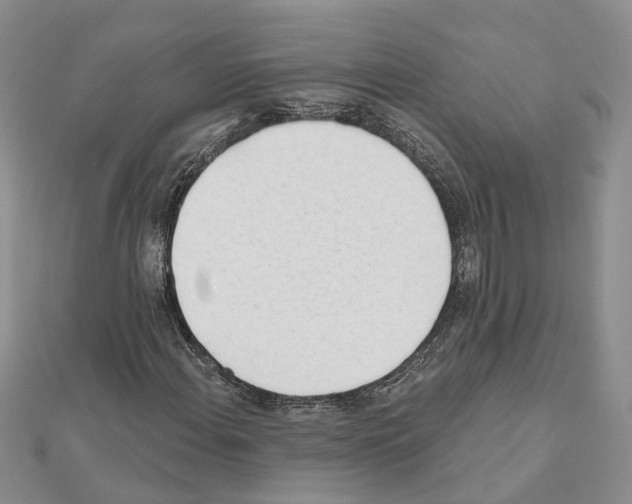 X0000111611108200908281044