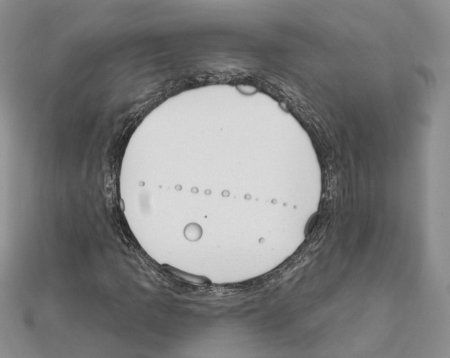 X0000111611109200908281044
