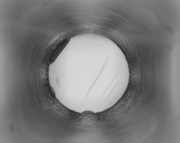 X0000111611110200908281044