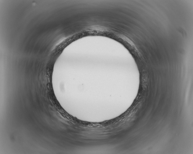 X0000111611112200908281044