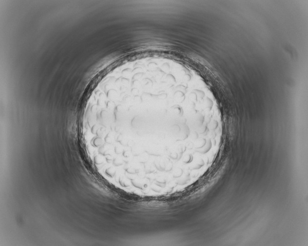 X0000111611113200908281044