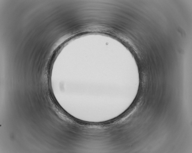 X0000111611114200908281044