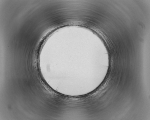 X0000111611115200908281044