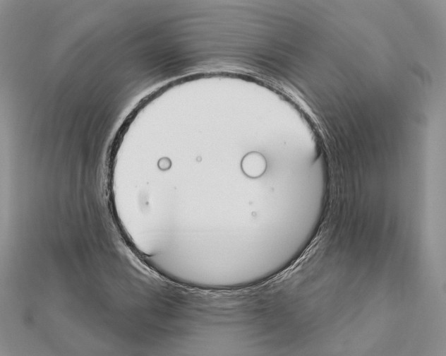 X0000111611116200908281045