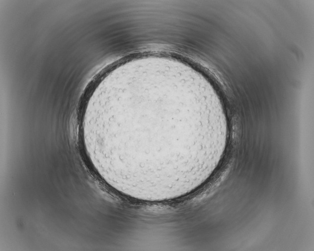 X0000111611117200908281045