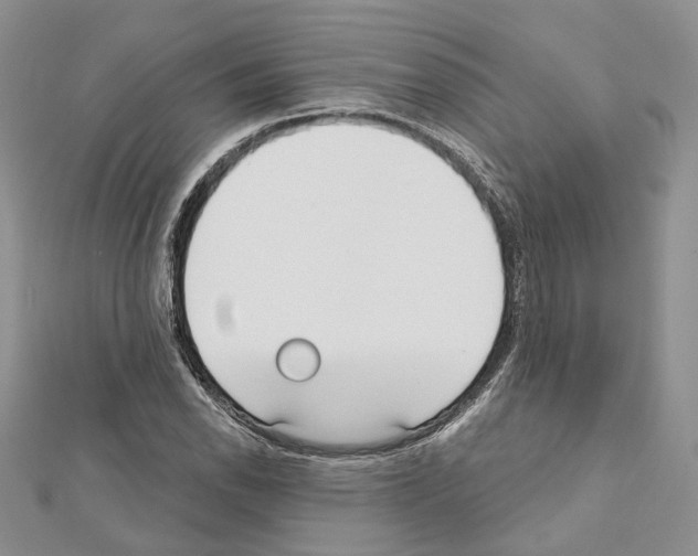 X0000111611118200908281045