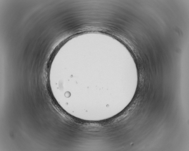 X0000111611119200908281045