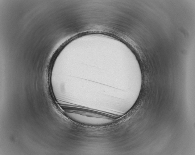 X0000111611120200908281045