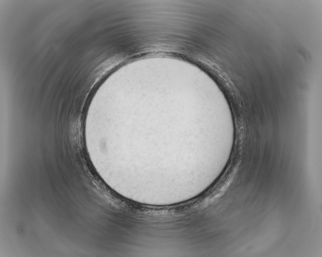 X0000111611121200908281045