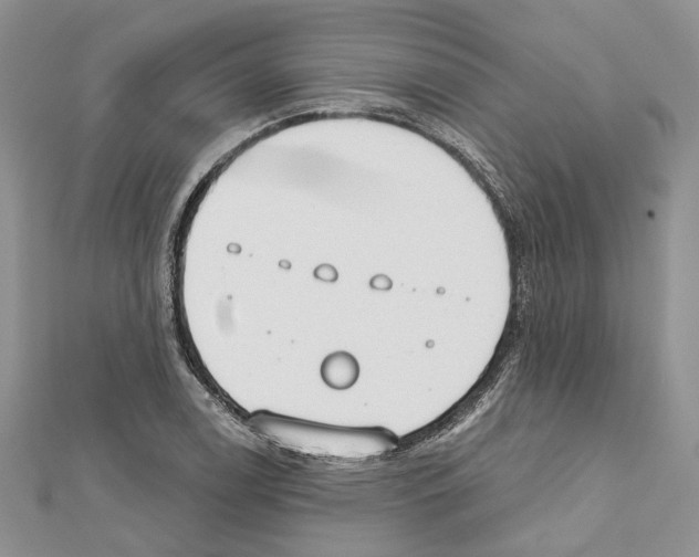 X0000111611122200908281045