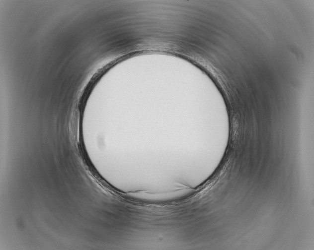 X0000111611123200908281045