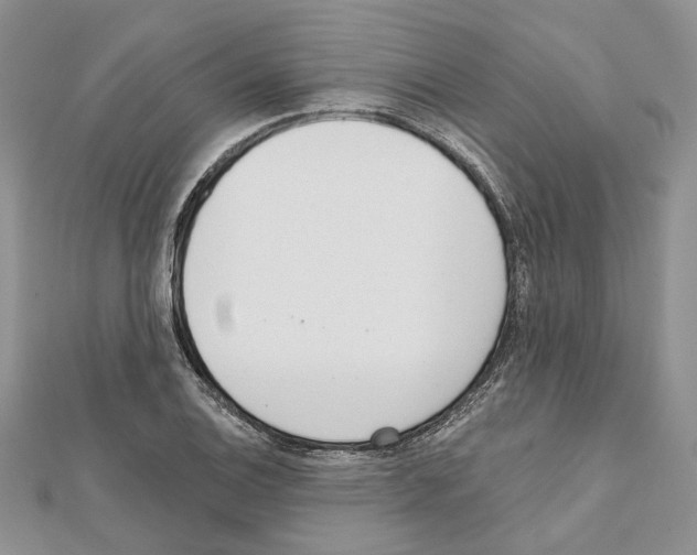 X0000111611124200908281045