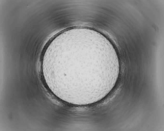 X0000111611125200908281045