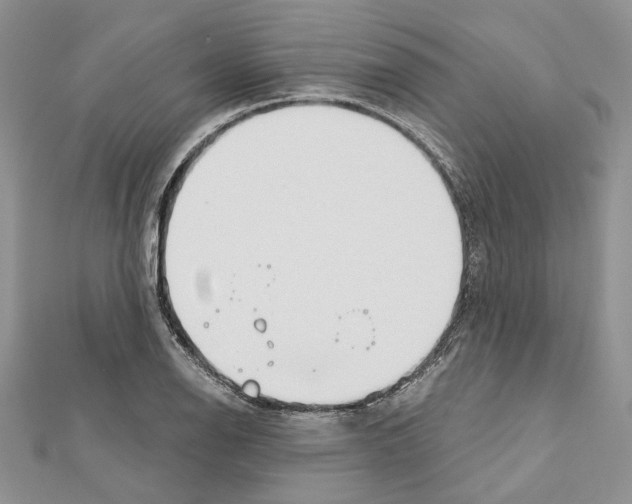 X0000111611126200908281045