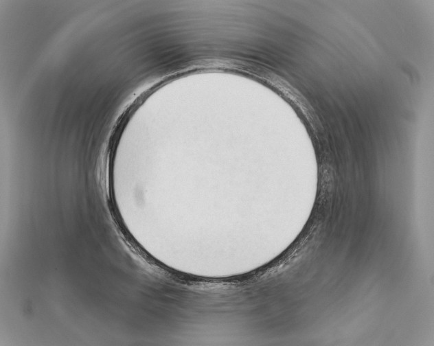X0000111611127200908281045