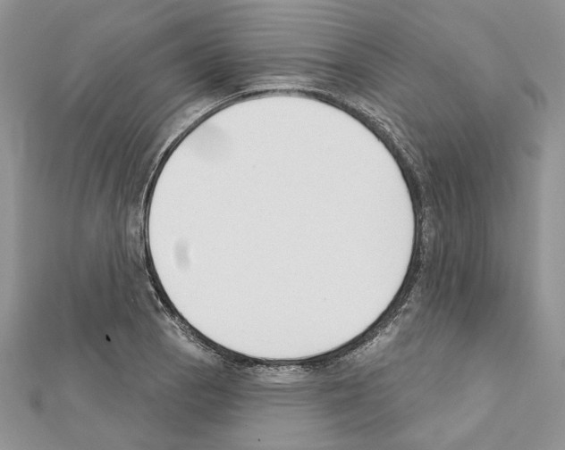 X0000111611129200908281045