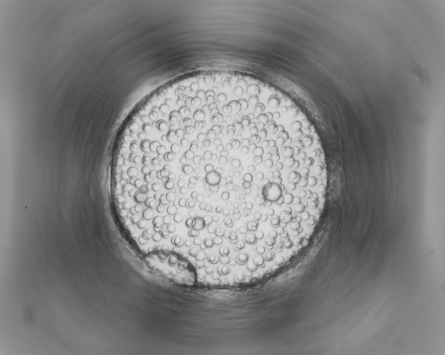 X0000111611130200908281045