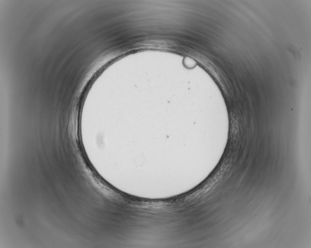 X0000111611131200908281045