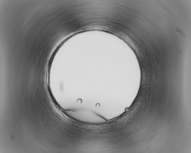 X0000111611132200908281045