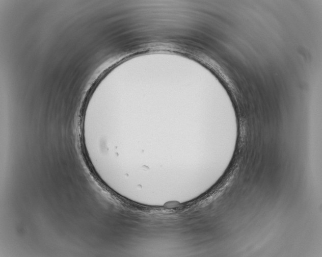 X0000111611133200908281045