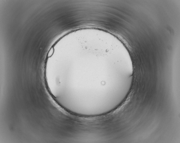 X0000111611134200908281045