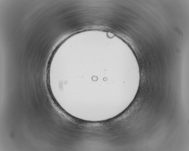 X0000111611135200908281045