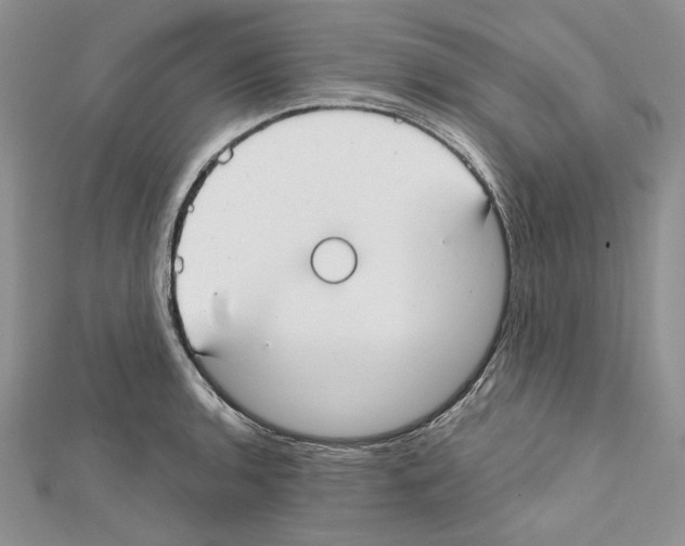 X0000111611136200908281045