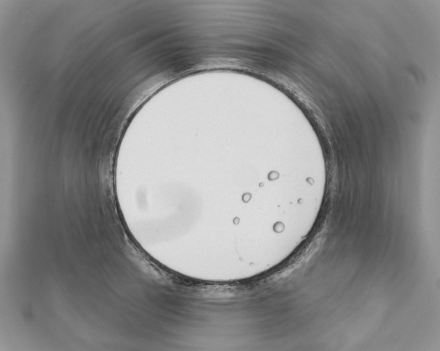 X0000111611137200908281045