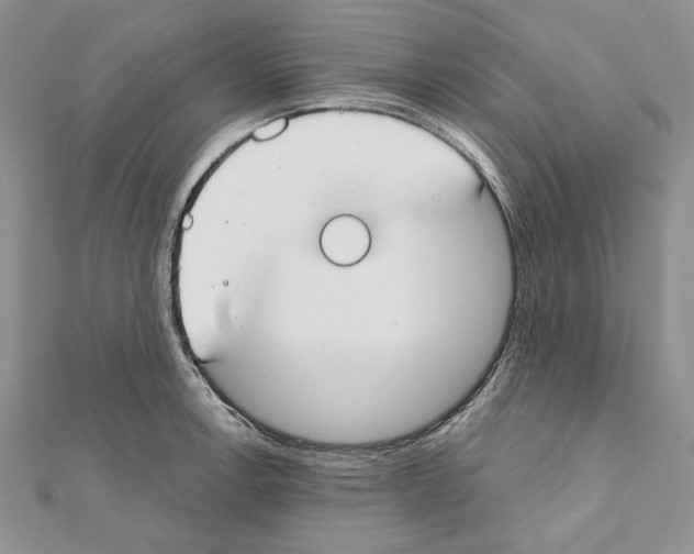 X0000111611138200908281045