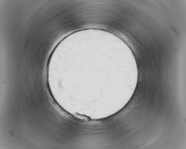 X0000111611140200908281045
