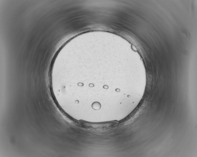 X0000111611141200908281045