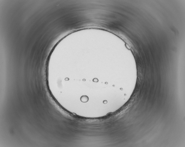 X0000111611142200908281045