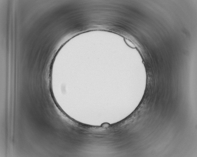 X0000111611143200908281045