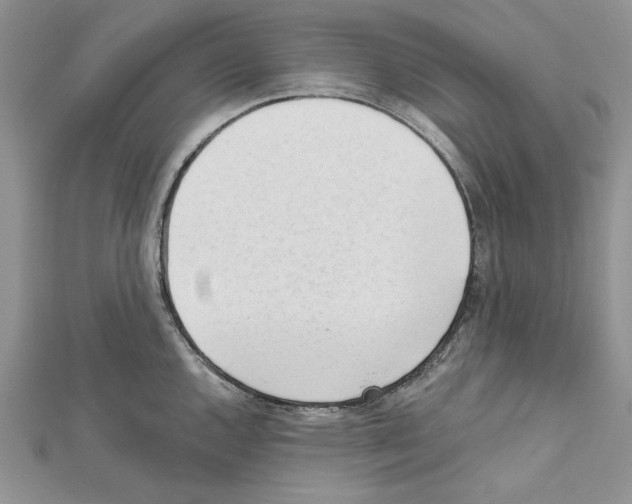 X0000111611144200908281045
