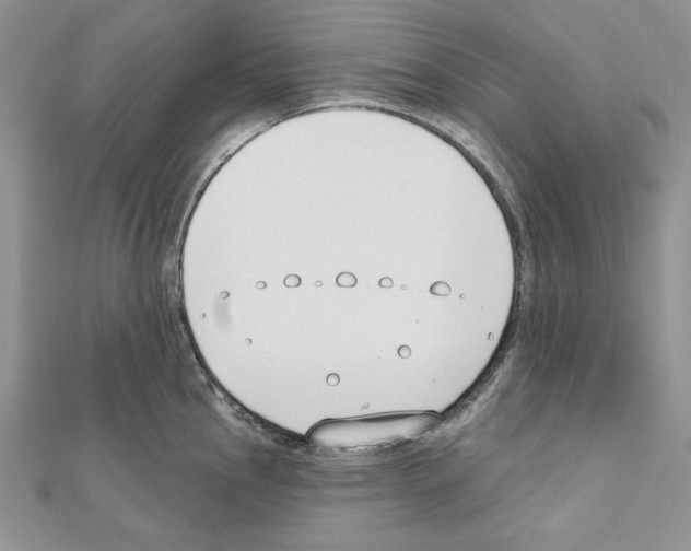X0000111611145200908281045