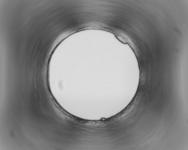 X0000111611146200908281045