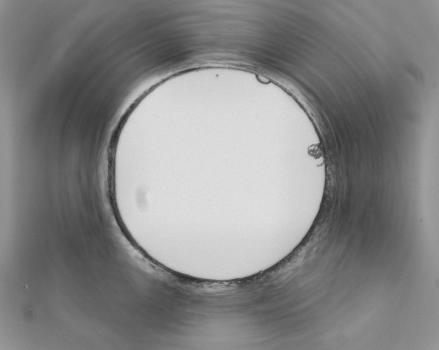 X0000111611147200908281045