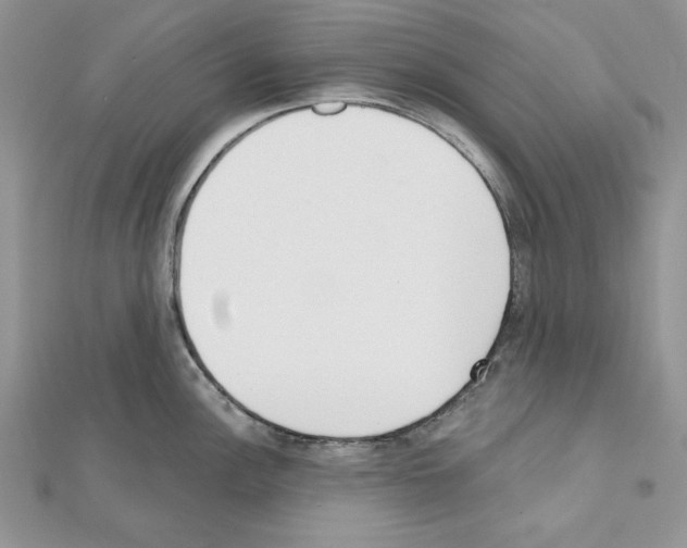 X0000111611148200908281045