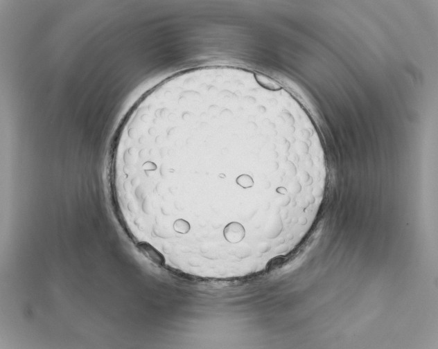 X0000111611149200908281045