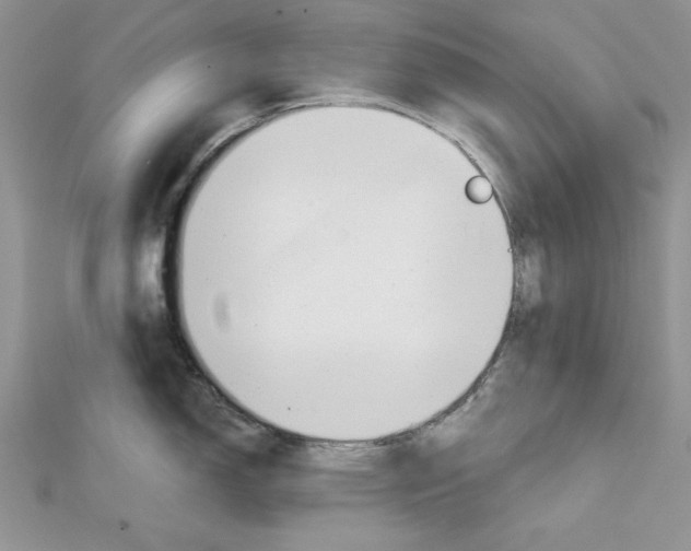 X0000111611150200908281045