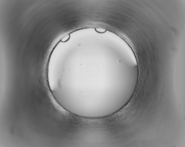 X0000111611152200908281045