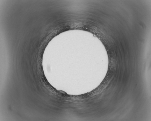 X0000111611153200908281044