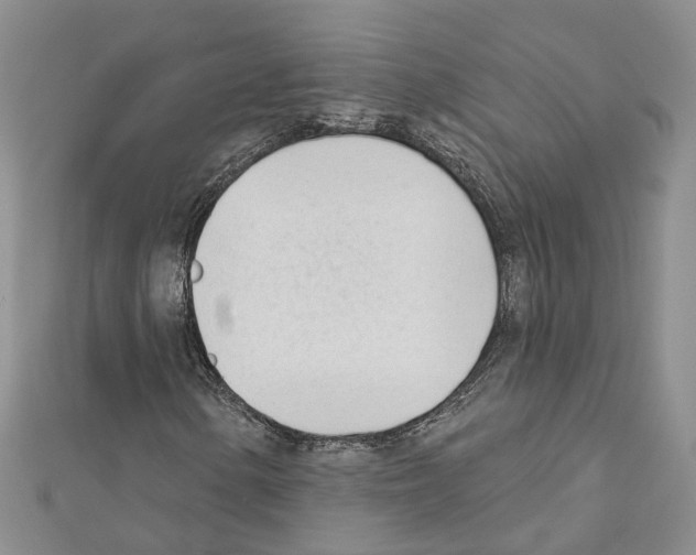X0000111611154200908281044